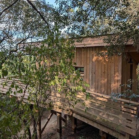 Les Cabanes Dans Les Bois Logis Hotel Villedubert Exterior photo