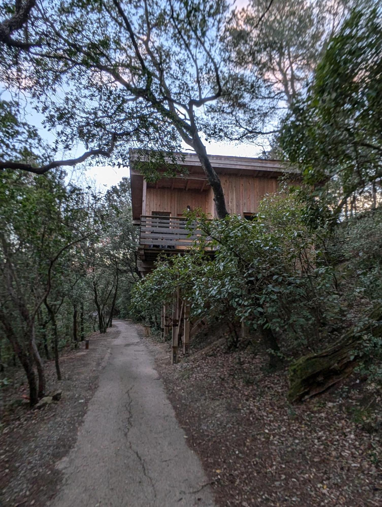 Les Cabanes Dans Les Bois Logis Hotel Villedubert Exterior photo