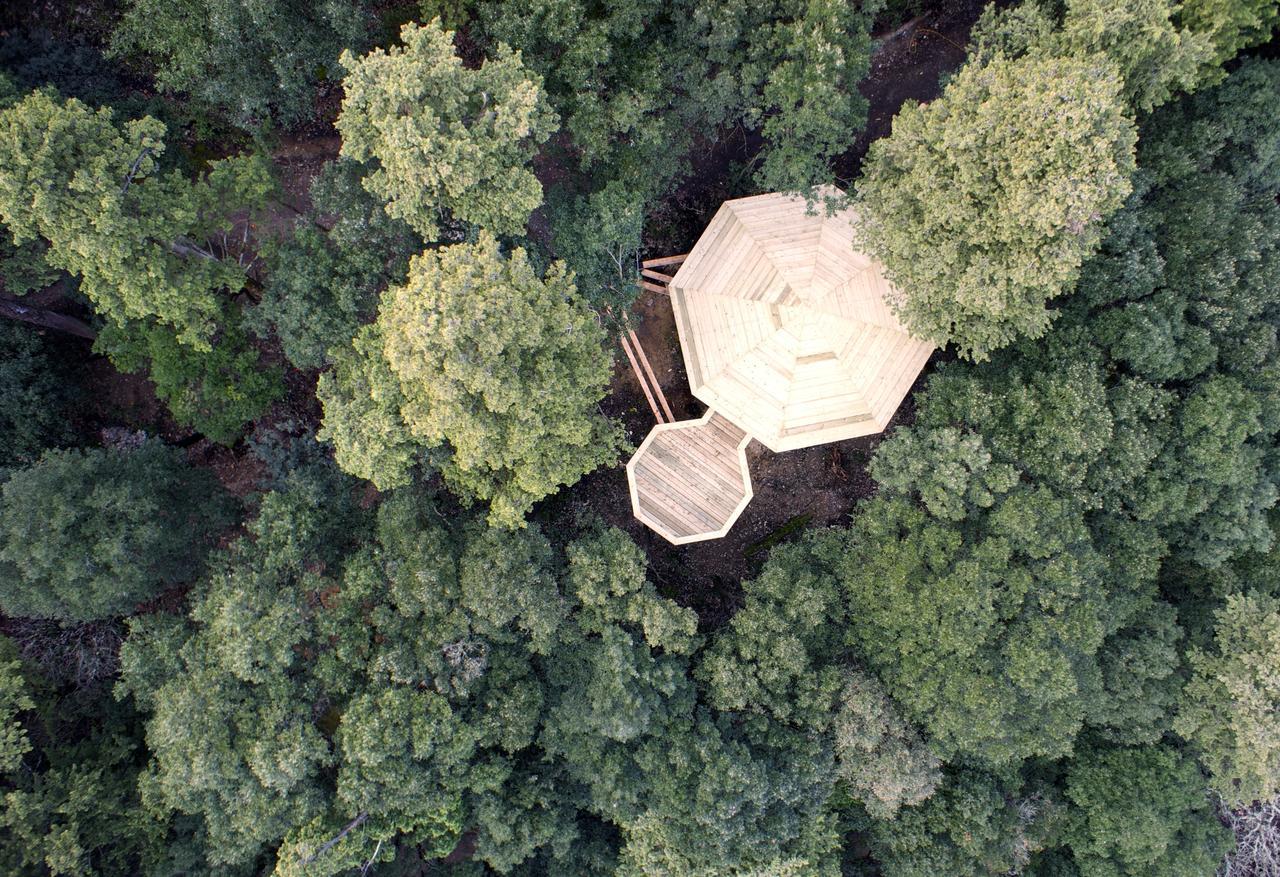 Les Cabanes Dans Les Bois Logis Hotel Villedubert Exterior photo